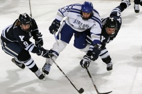 天博平台官网-TheShy重返赛场，败北首场状态出色，雄鹿观众沸腾！全场沸腾不已